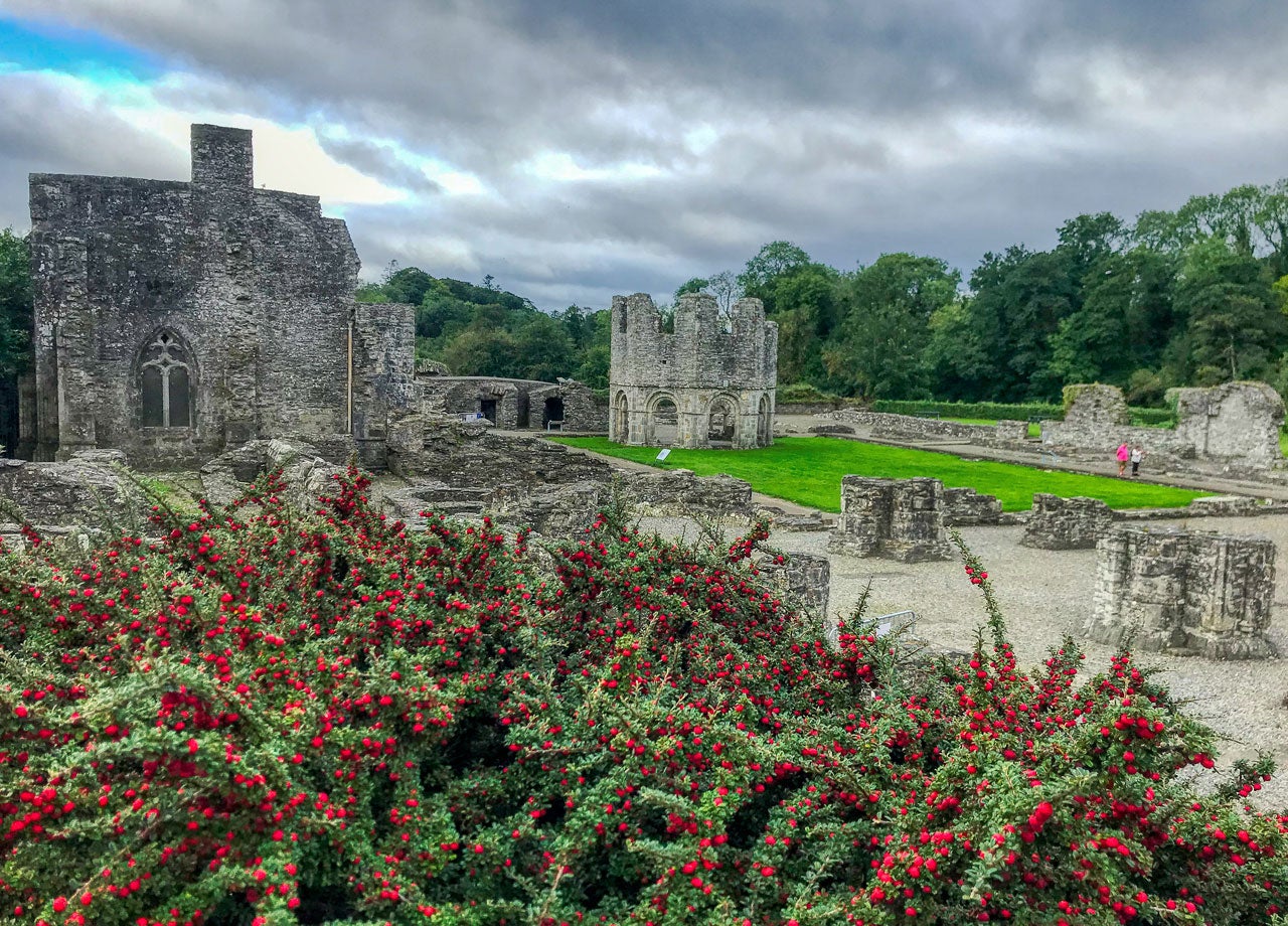The Old Mellifont Abbey and grounds