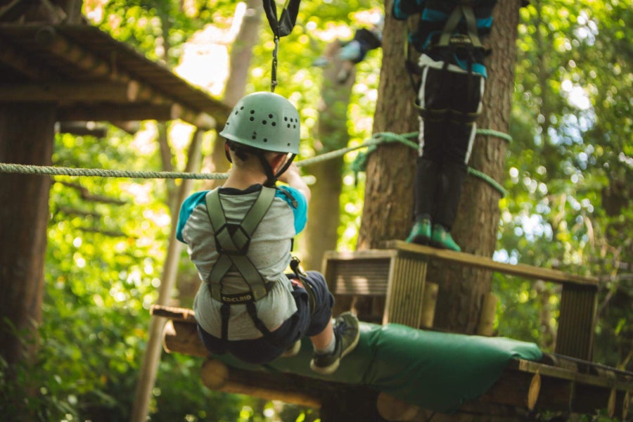 Ziplining in the forest