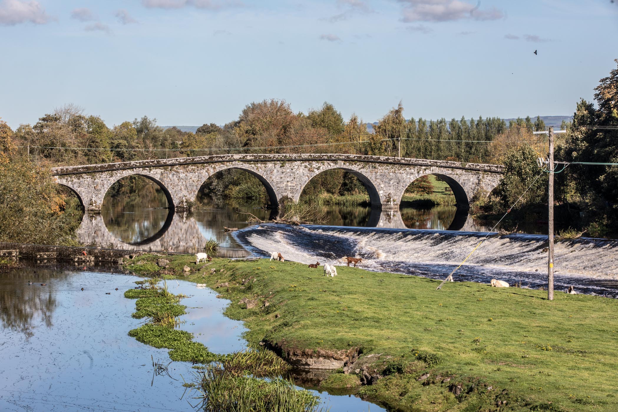 The bridge in Bennettsbridge, Co Kilkenny