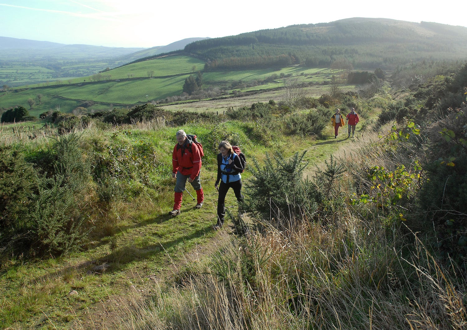 Hikers on the Blackrock Loop Walk in Ballyhoura, Co Limerick