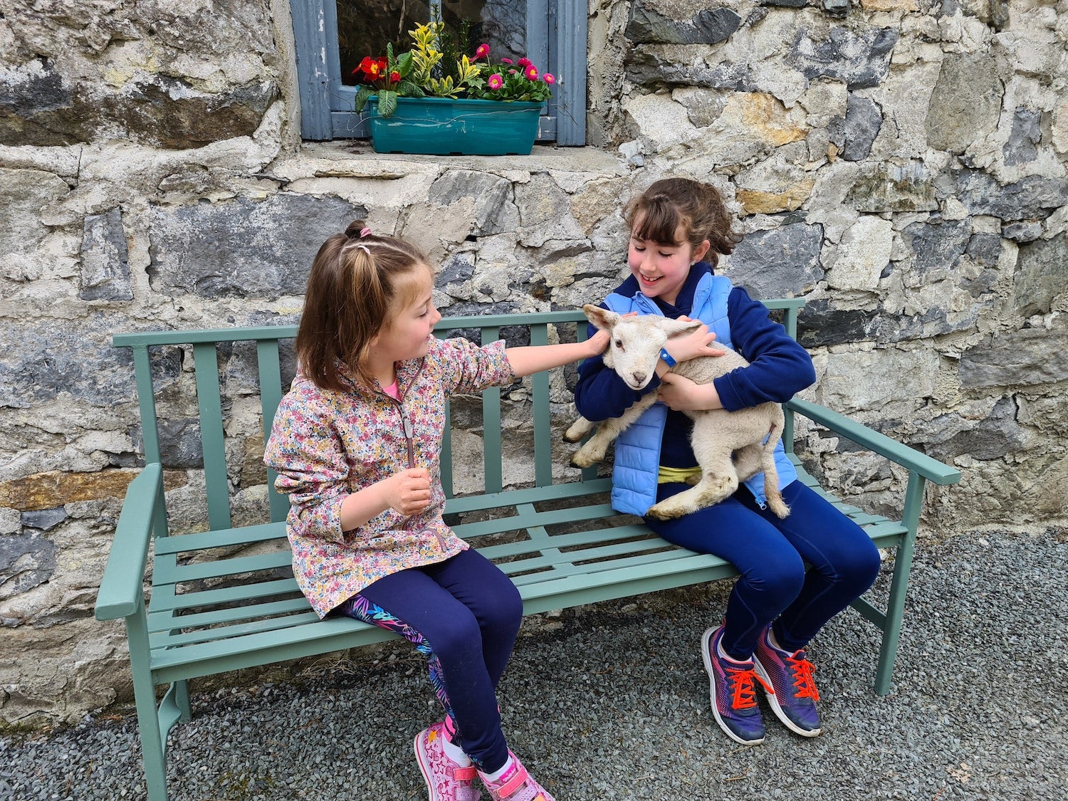 Kids holding a lamb at Glengowla Mines & Family Farm Experience in Co Galway