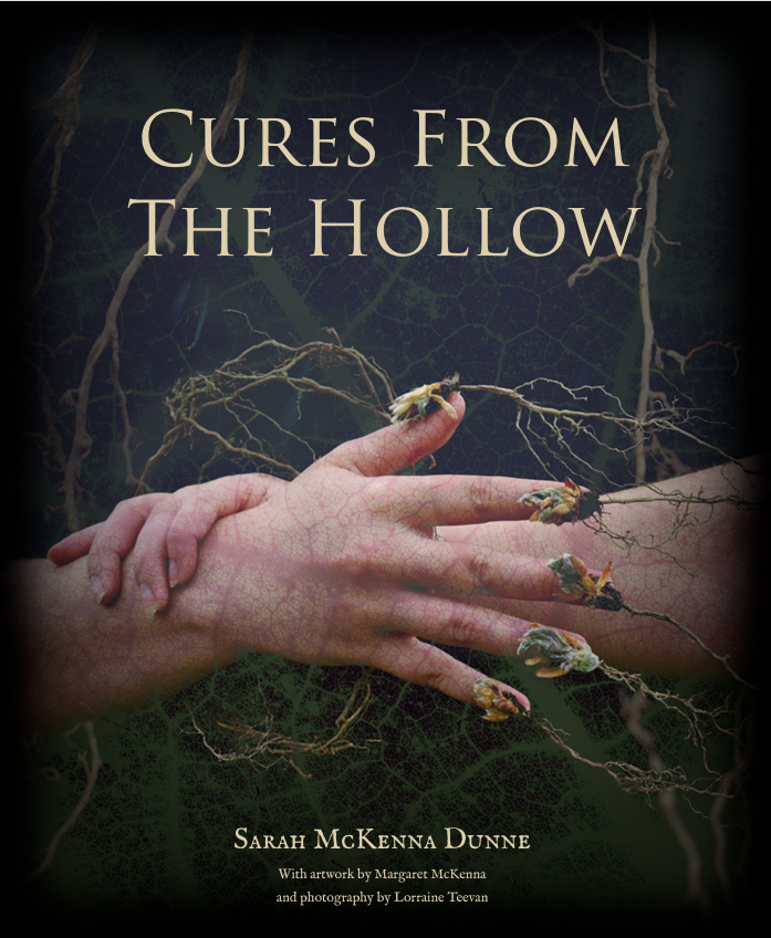 Cures from the Hollow book cover