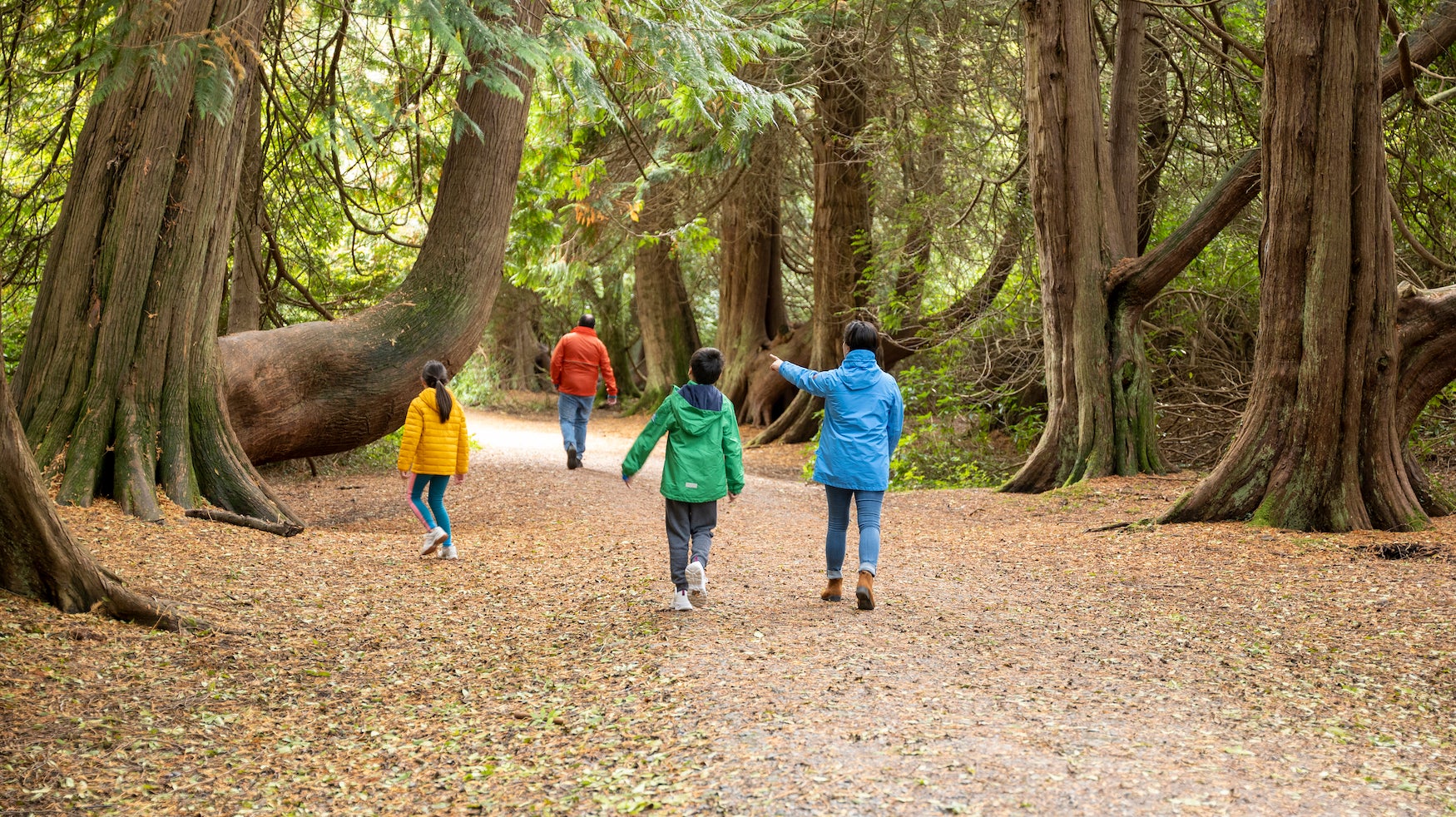 A family walking in Lough Key Forest Park in Co Roscommon