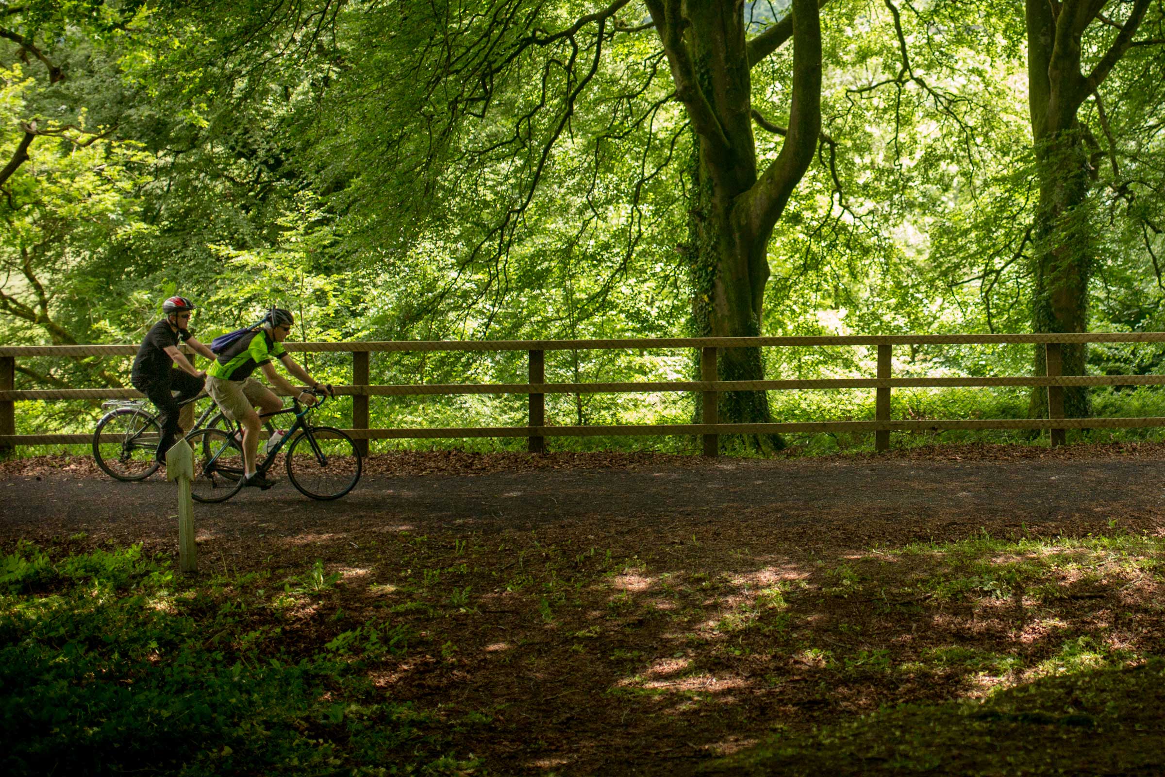 Cyclists on the Limerick Greenway, County Limerick
