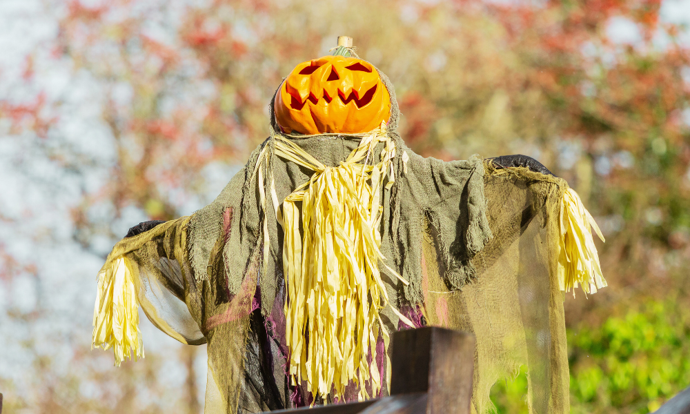 Scarecrow in the gardens scaring away the spirits