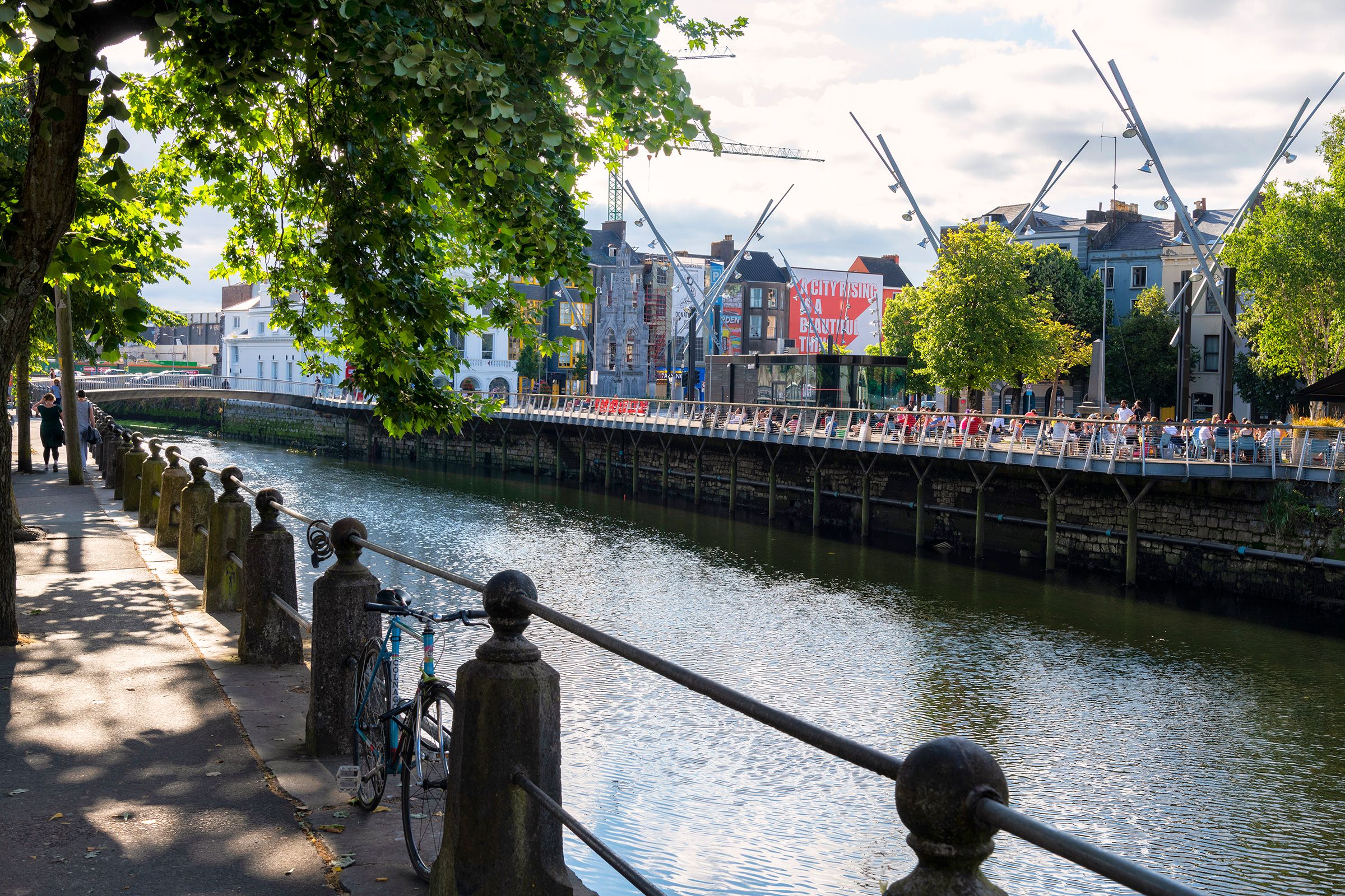 A tree overhanging the River Lee, County Cork