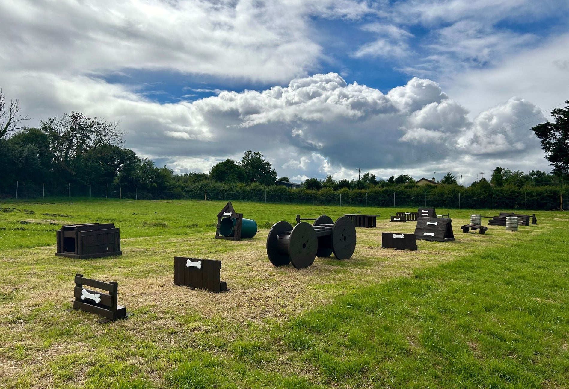 Obstacles in a field for dogs to jump and play