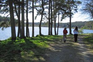 Bailieborough Castle Lake Loop (PJ's Way)