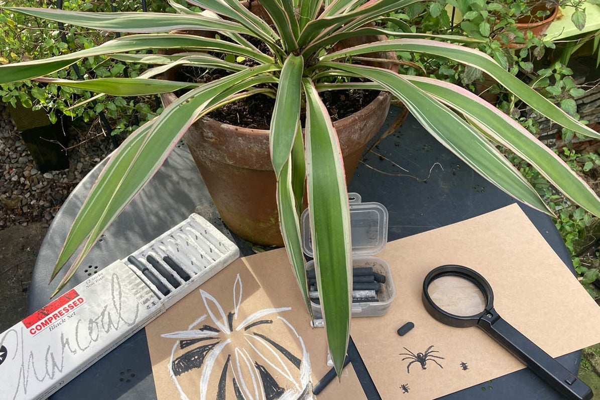 Drawing for Families: Garden Exploration through Drawing