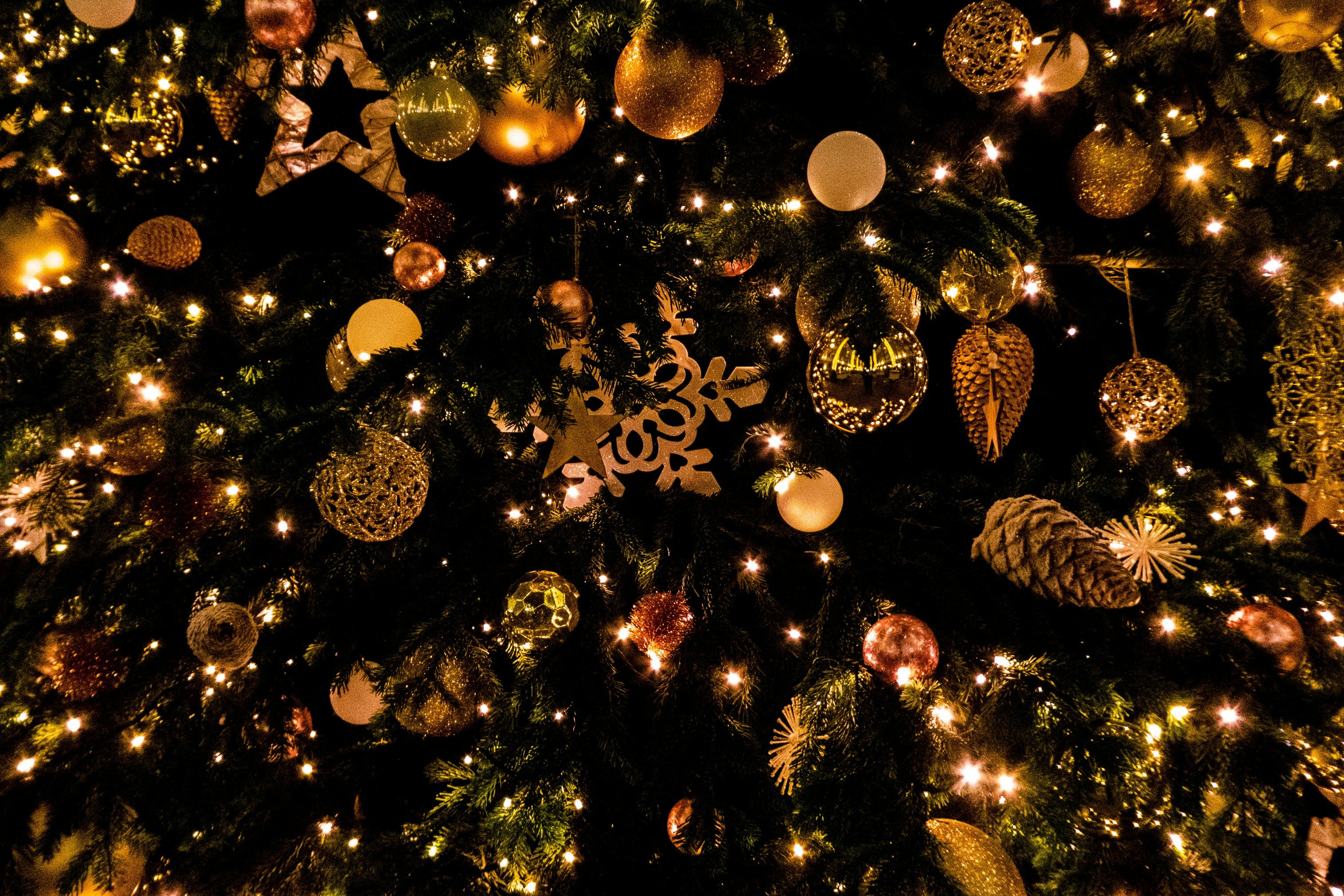 Our Christmas Revue brings together an eclectic line-up of local performers for an easy-going evening in beautiful Russborough. Expect live trad music, piano, guitar and song, alongside poetry – a little bit of everything.