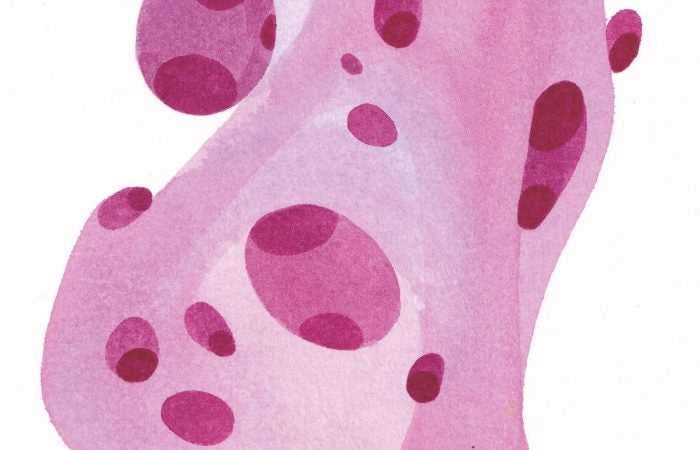 An abstract shape with varying shades of pink on a white background.