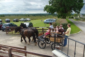 Red Mountain Open Farm