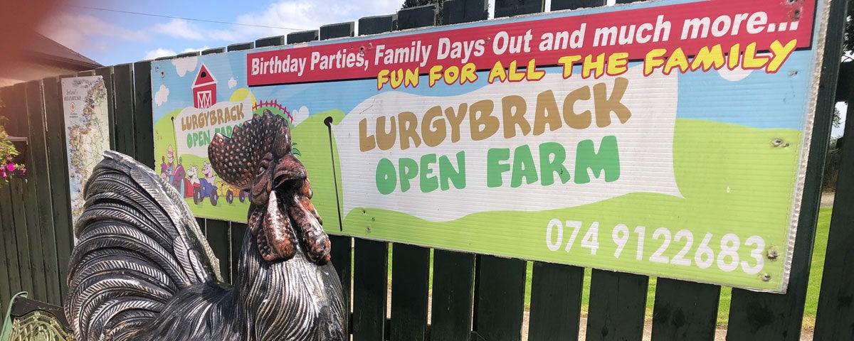 A sculpture of a rooster at the entrance sign for Lurgybrack Open Farm at Letterkenny