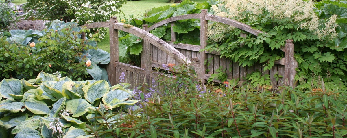 A wooden bridge to a riverside walk