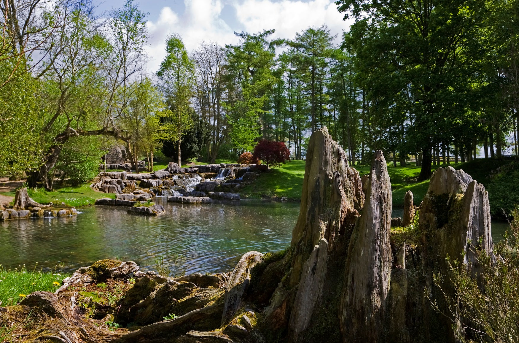 St Fiachra's Garden at the Irish National Stud and Gardens in Kildare