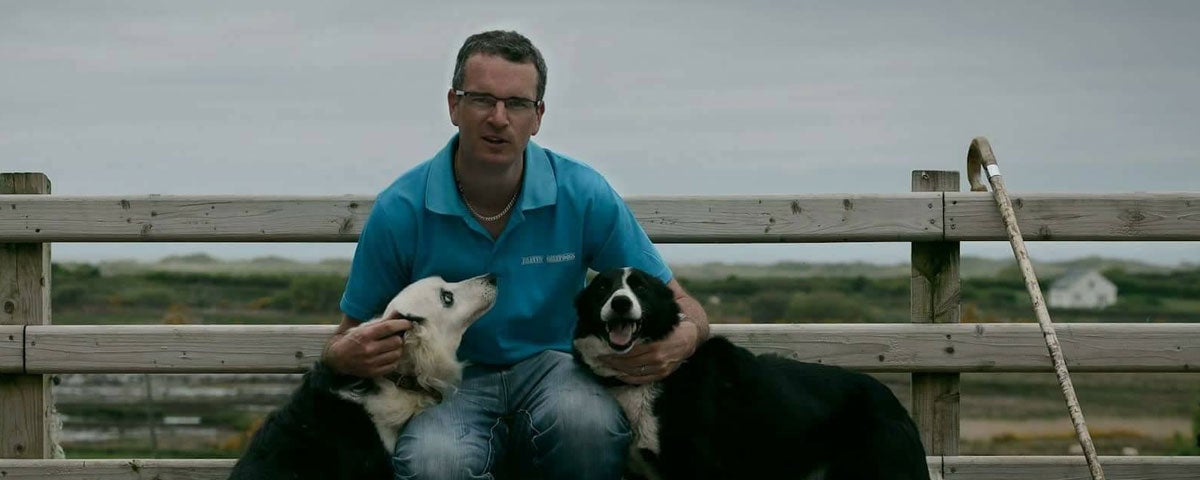 Martin and his sheepdogs at Atlantic sheepdogs
