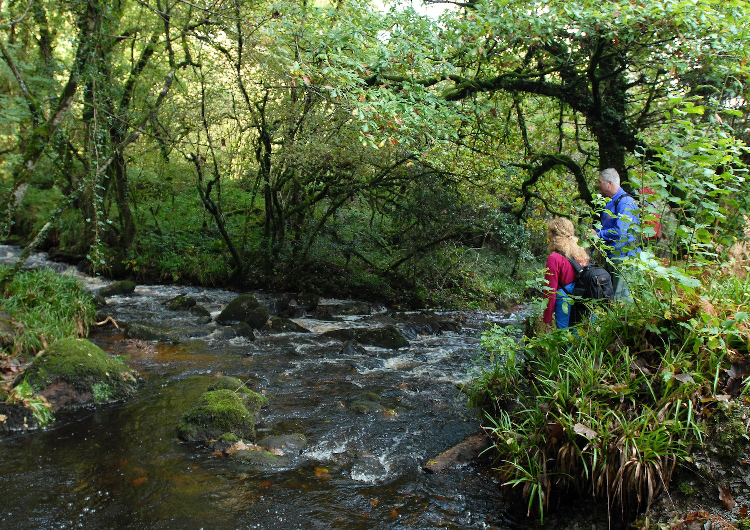 People hiking the Canon Sheehan Loop in Ballyhoura