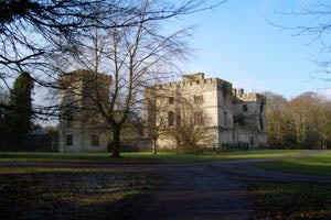 Trees in front of a large house in a park in Donadea Forest Park, County Kildare.