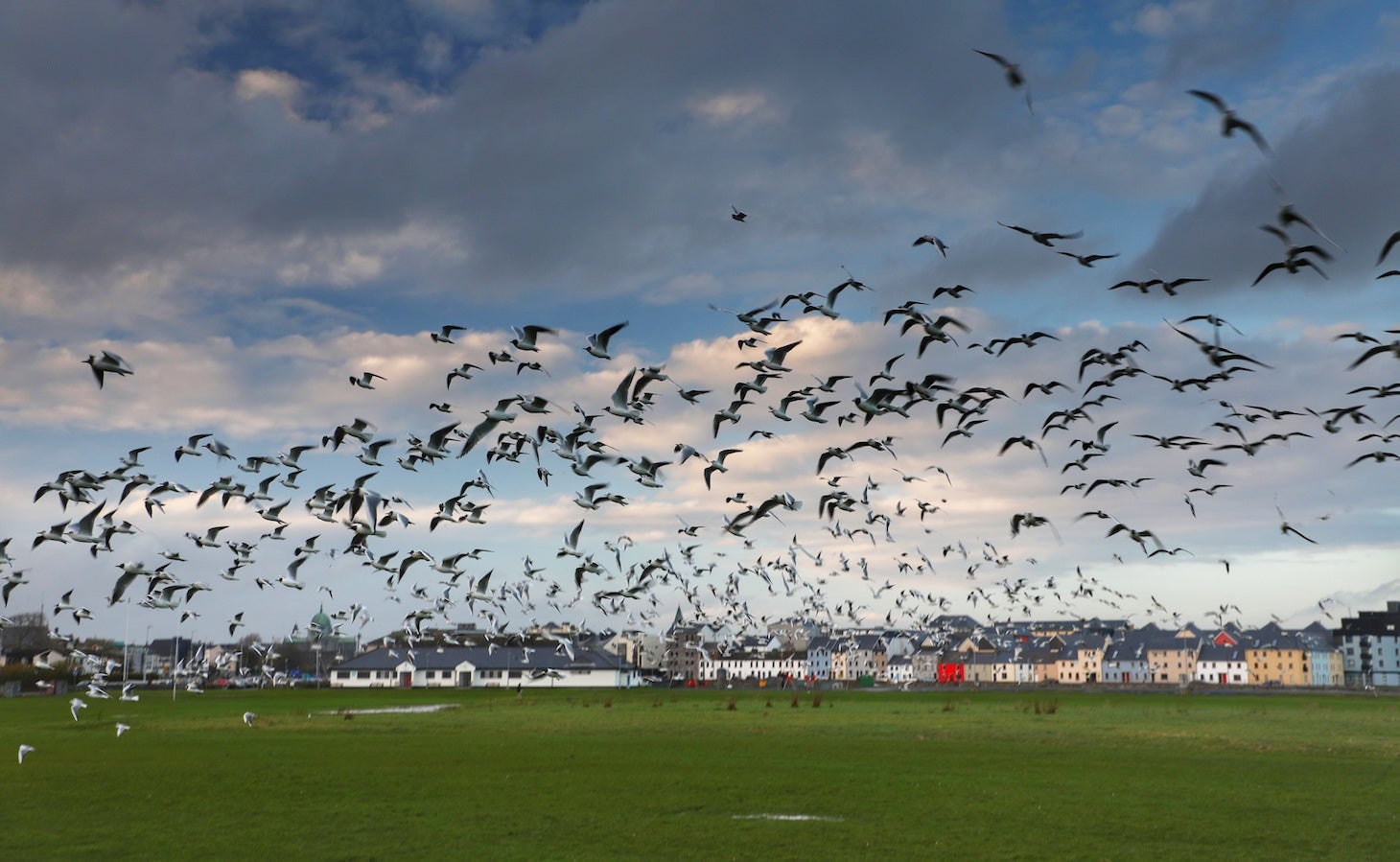 Visit Galway and experience the latest in the world of international film.