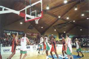 National Basketball Arena                                                                           