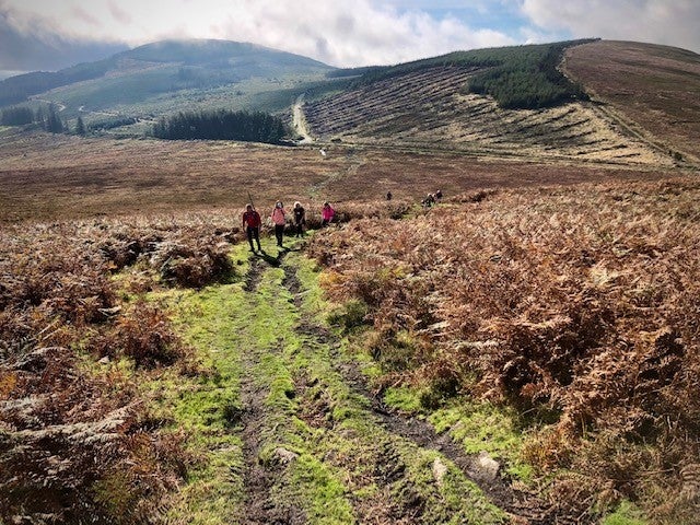 The Blackstairs Ridge Walk: Drummond to Knockmulgurry