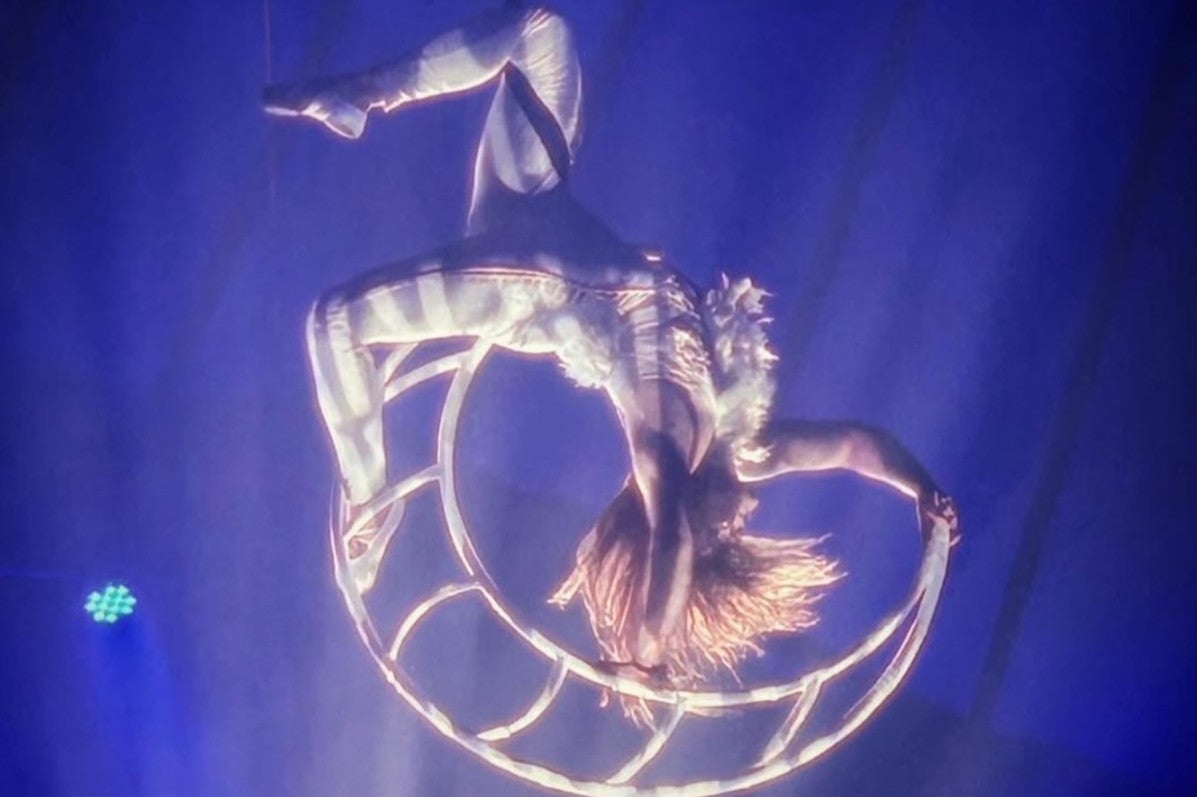 A trapeze artist is hanging upside down, intertwined in a rope ladder.