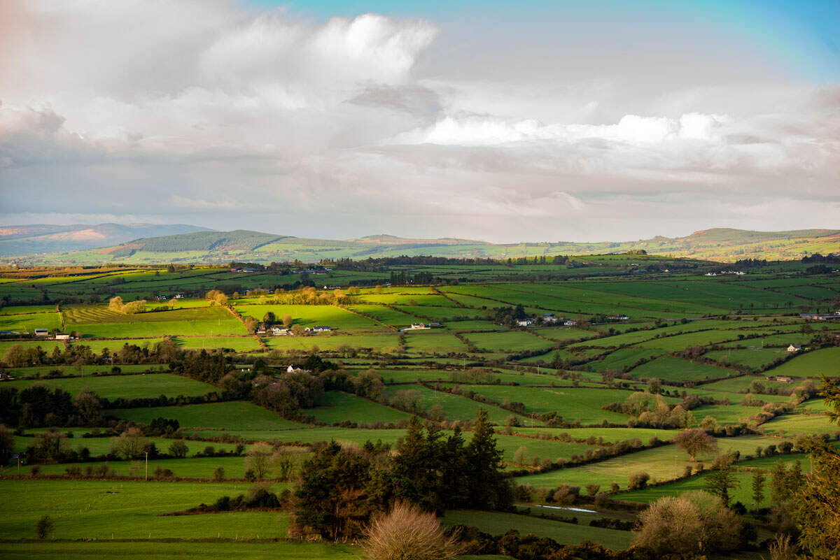 View towards green fields and hedges with a white cloudy sky