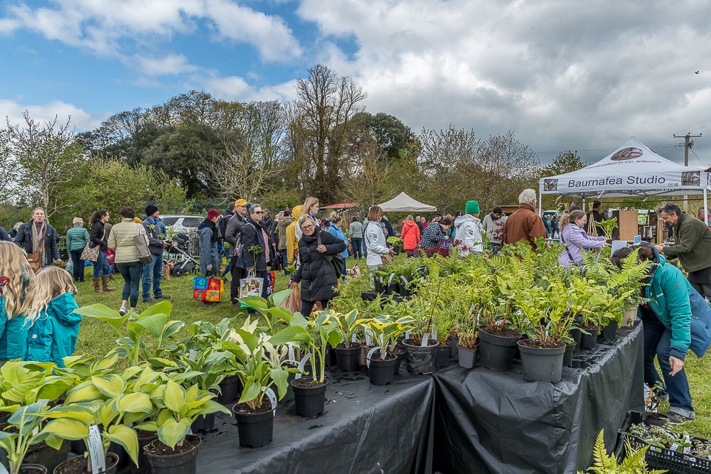 Outdoors are tables covered in plants for sale with groups of people