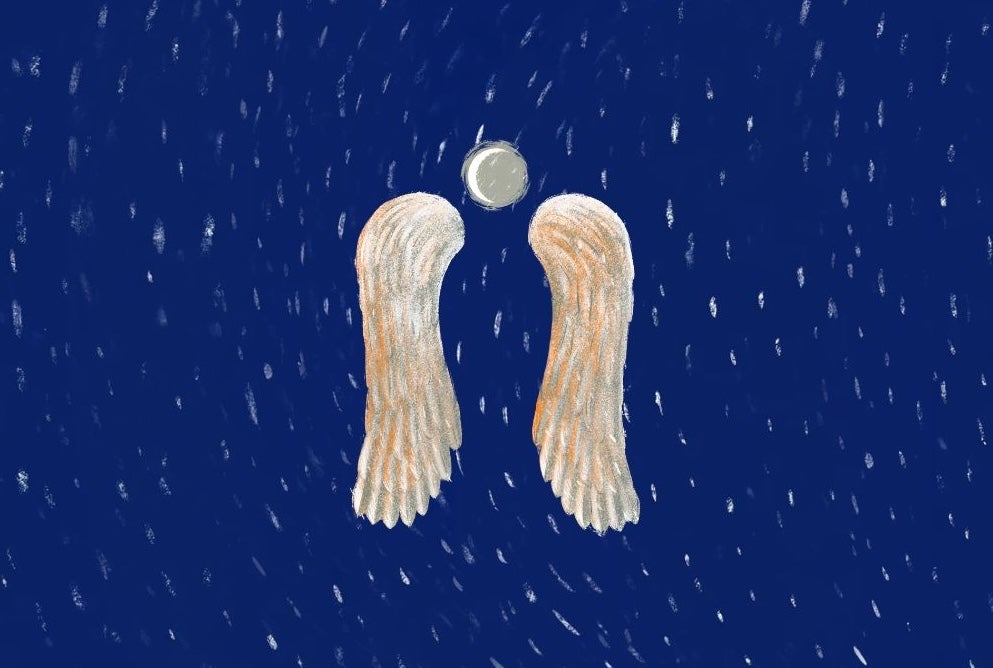 Hand drawn image of a pair of long, pale wings against dark blue sky at night with hint of stars