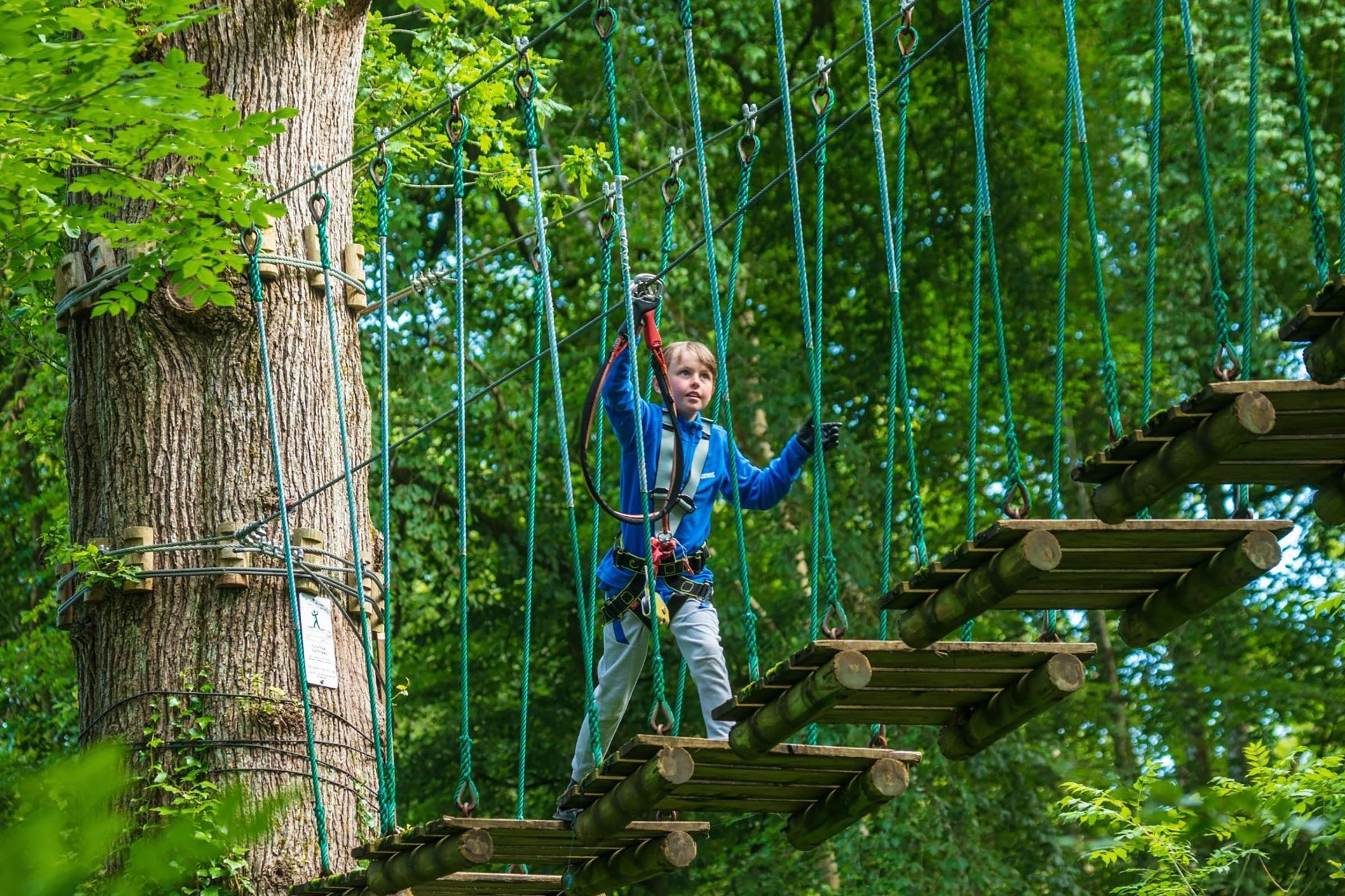 Boy walking across a rope bridge wearing a harness at Zipit Lough Key Ltd, Roscommon