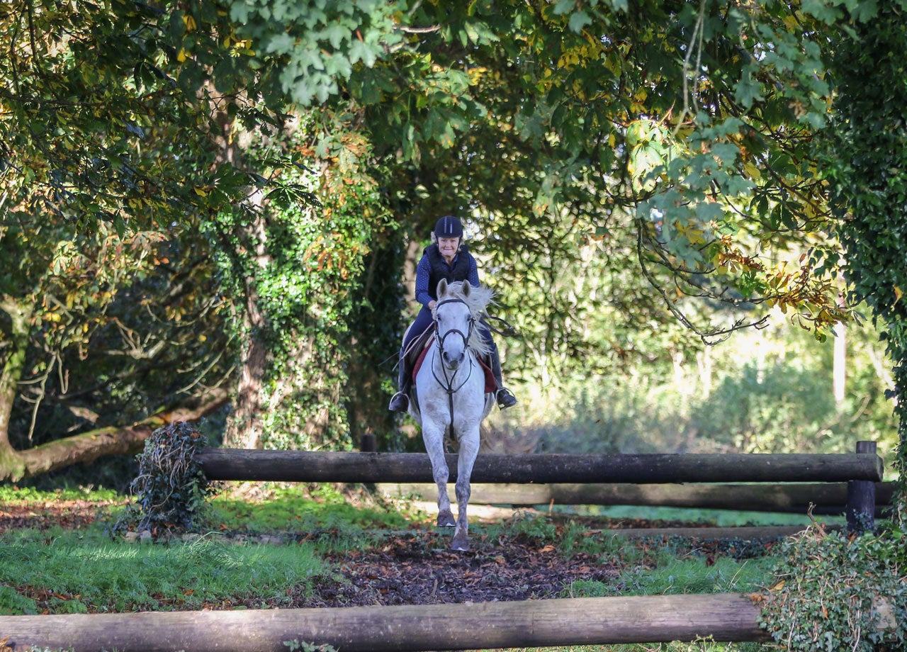 Girl on a white horse going over a jump