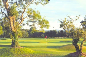 The green at Roscommon Golf Club