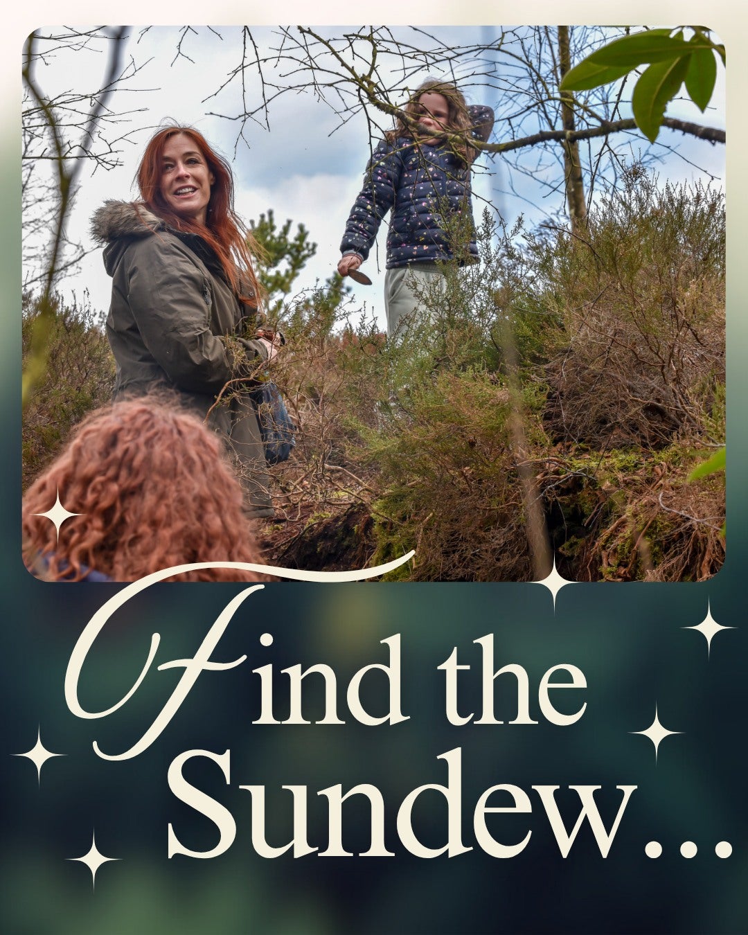 Daingean Sundew Festival
