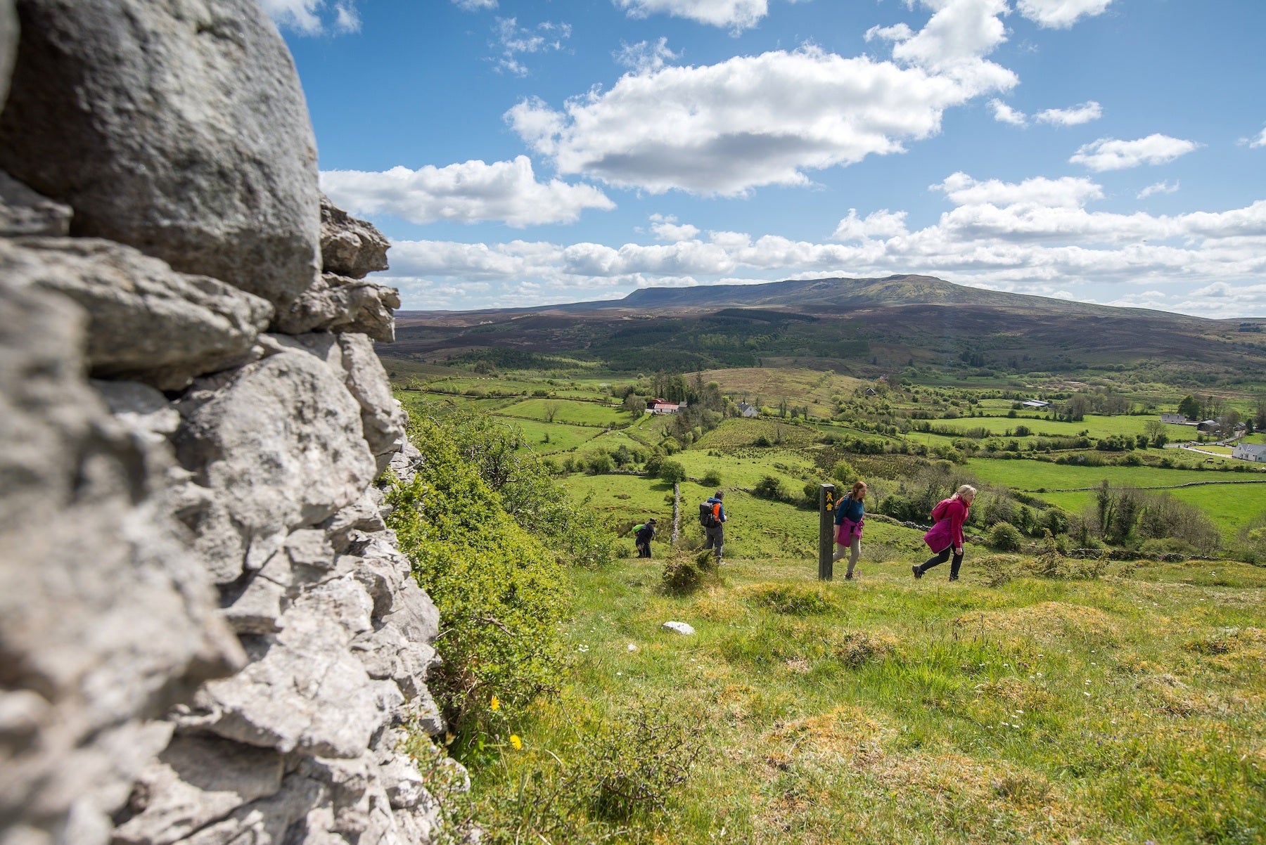 Four people walking on the Cavan Way trail in County Cavan. 