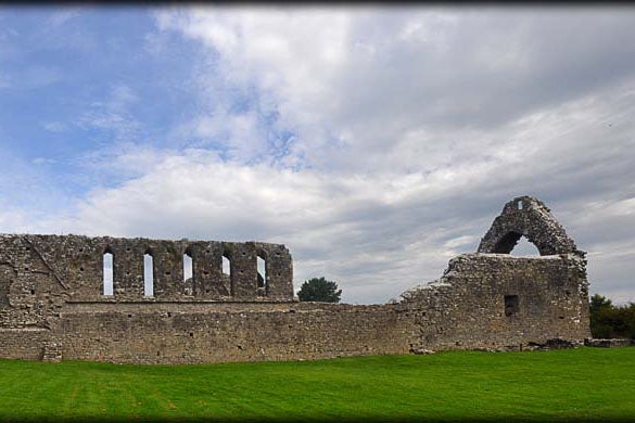 Ruins from a distance at Roscommon Abbey