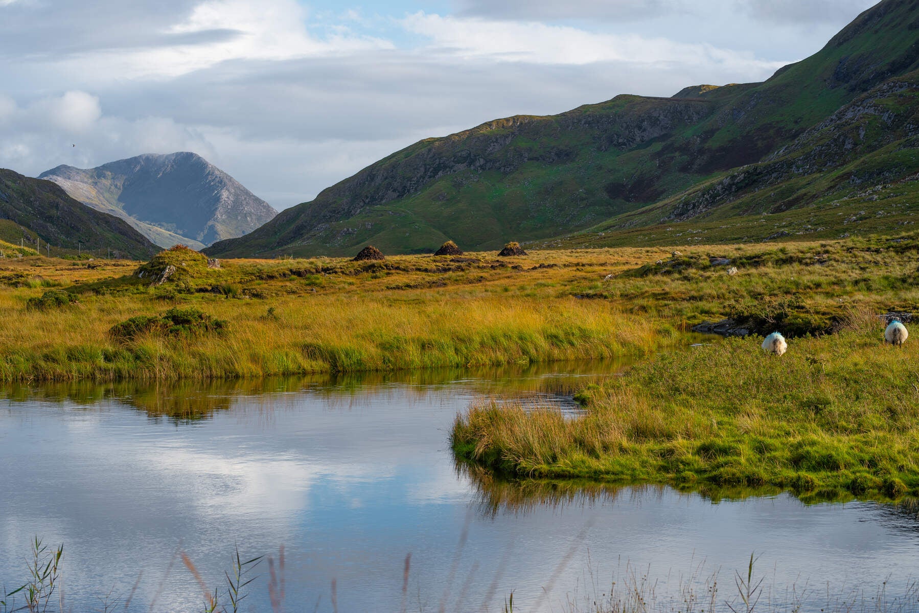 Little Killary Bay in Connemara.