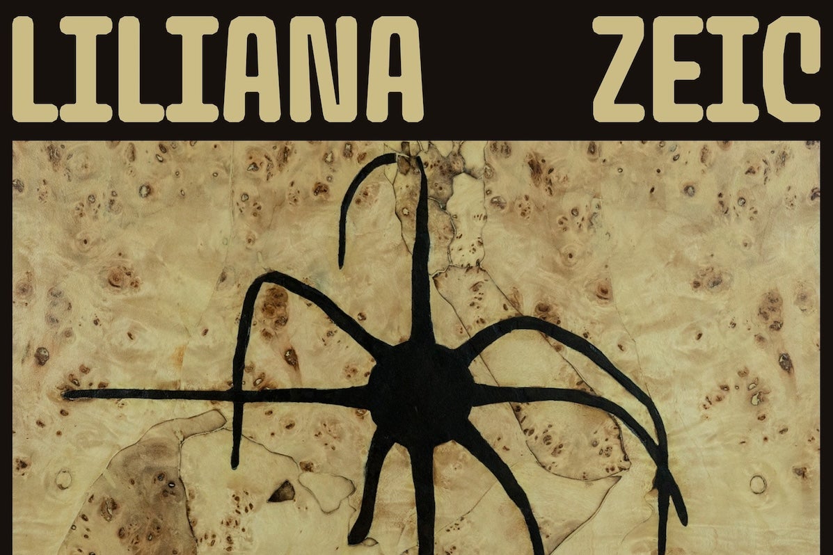 Eating the Sun, Liliana Zeic