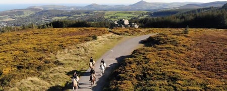 Four horses and riders on a trek through mountainous terrain