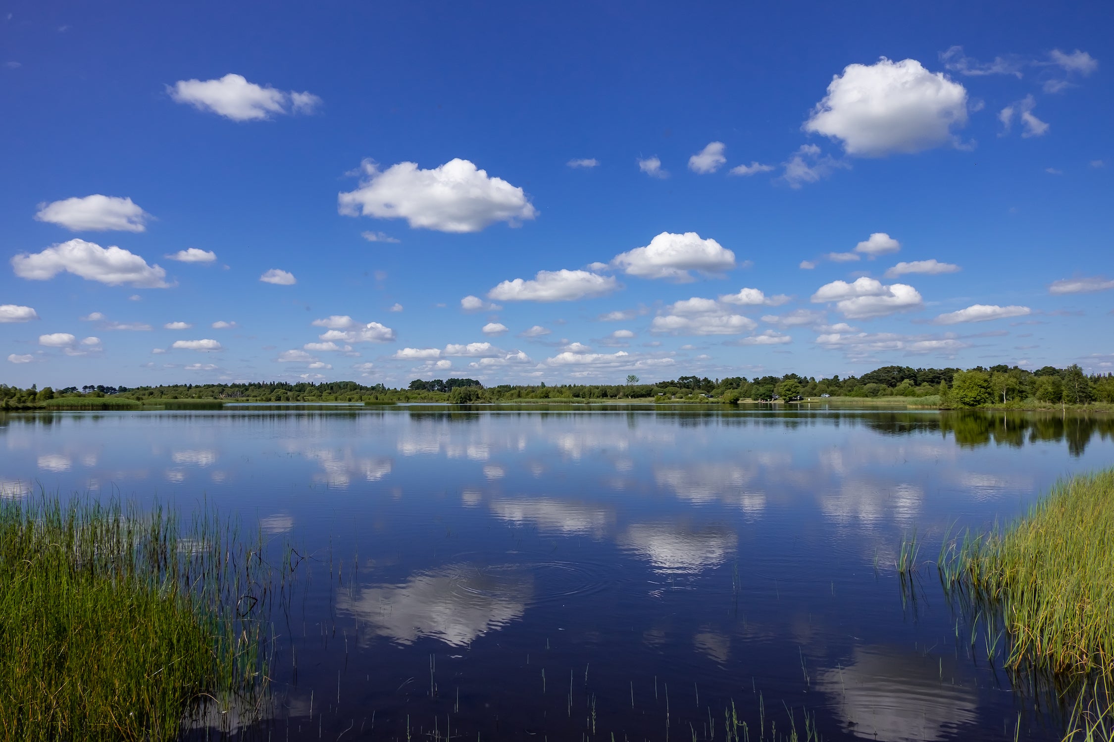 Lough Boora Discovery Park in Tullamore, Co Offaly