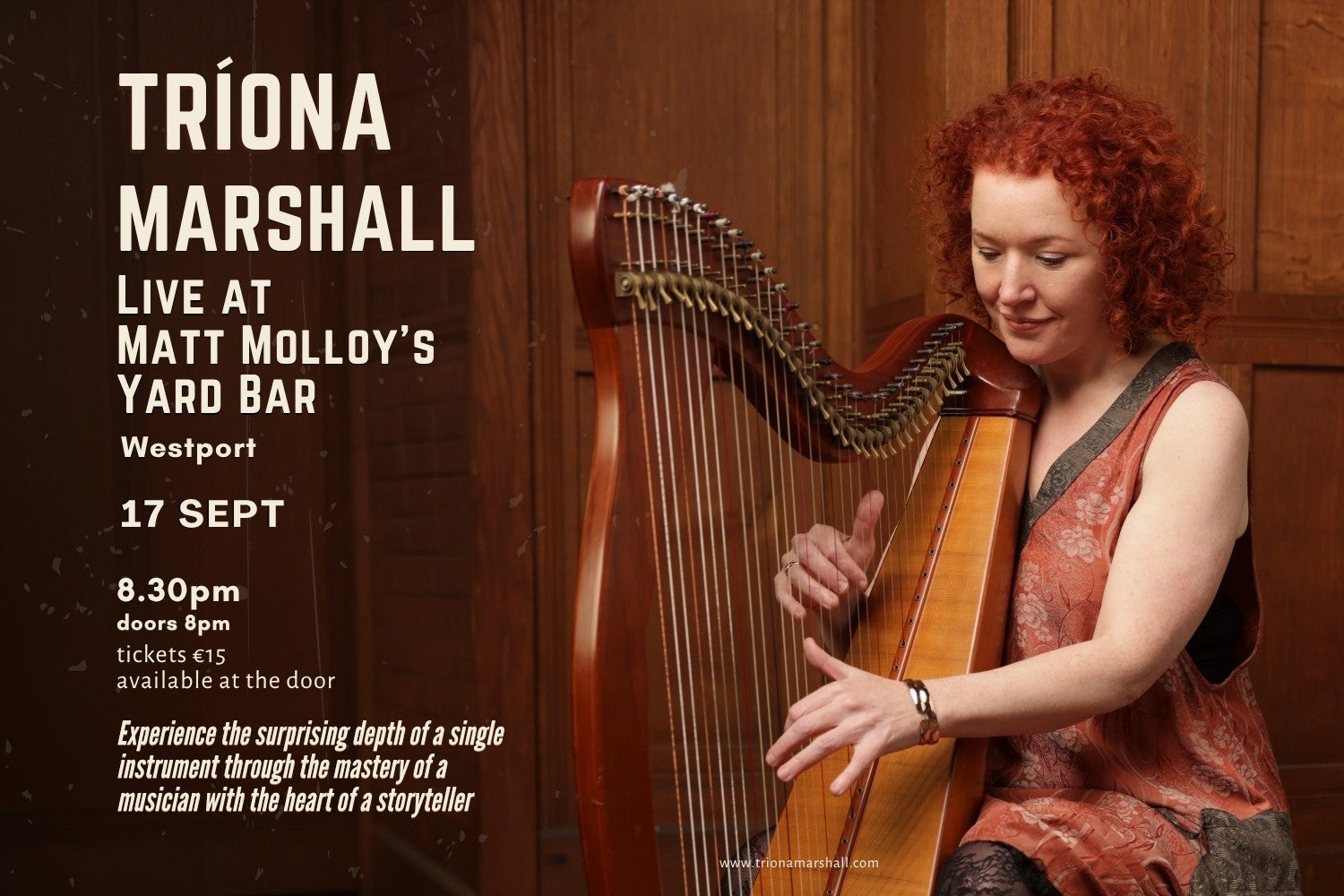 Tríona Marshall at Matt Molloy Yard Bar, a seated woman playing a harp.
