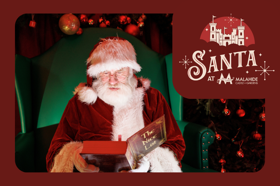 Immerse yourself in the warmth and charm of the historic Malahide Castle, with its timeless beauty and traditional decorations.