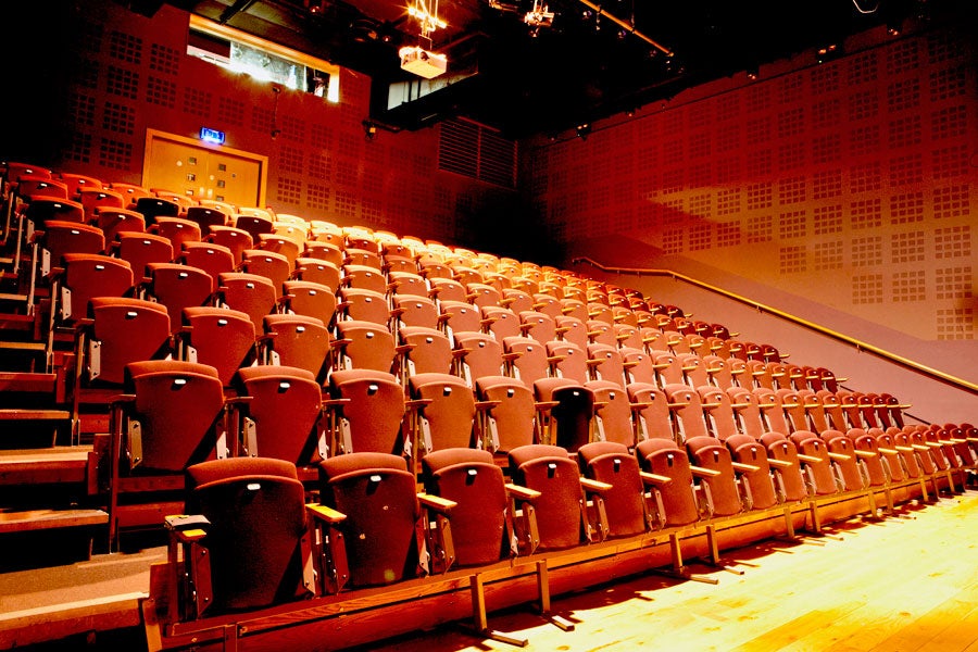 A view of the seating area within the theatre auditorium