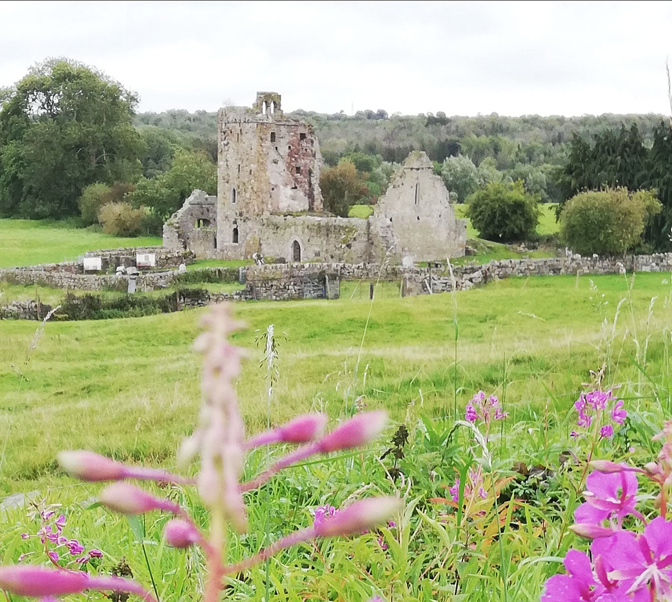 Jerpoint Park view of the twelfth century Cistercian abbey