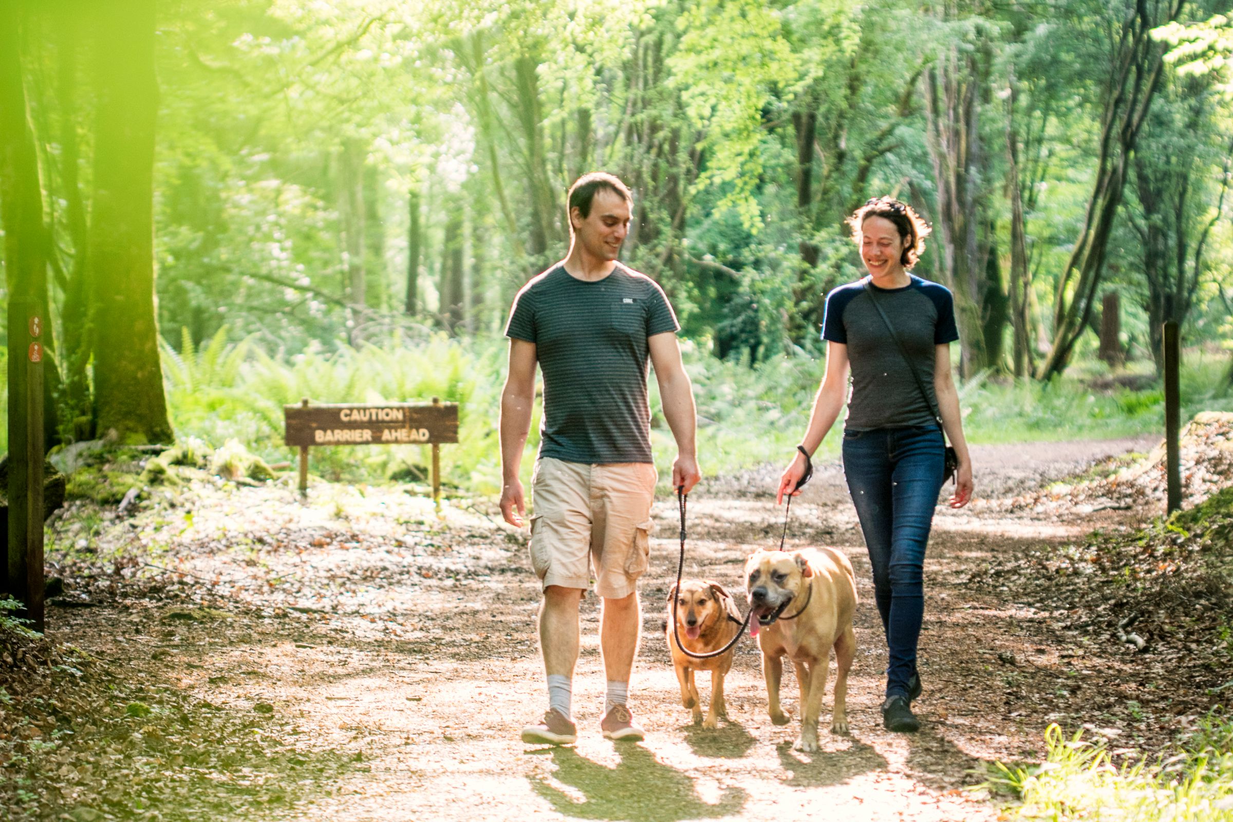 Image of a couple walking in Portumna Forest in County Galway