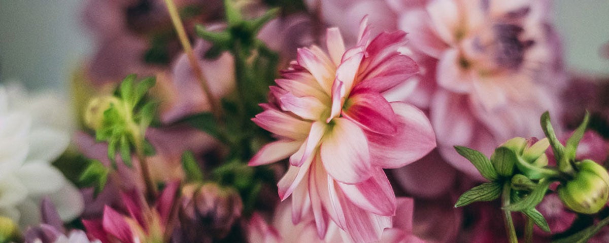 Bumble Bee Flower Farm pink bouquet