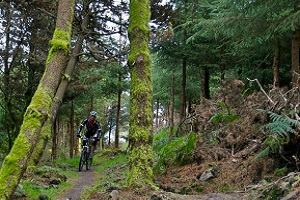 Ballyhoura Mountain Bike Trails
