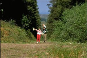 The Slieve Felim Way