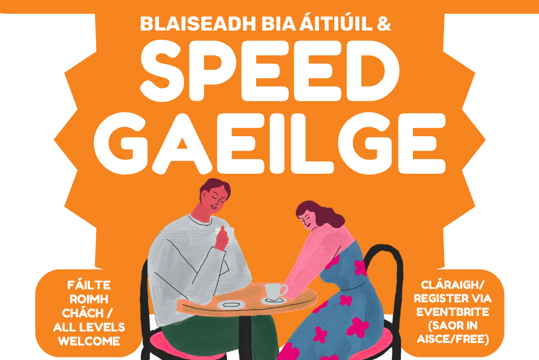 Poster - Féile na Cincíse