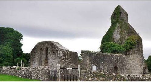 An autumn trail & dining experience featuring a guided walk of historic Abbeyshrule village by Kathryn Keenan an insightful National Famine Way presentation by Edel McWeeney, and a 2 course farm to table lunch at Cloughan Farm by Fiona Egan