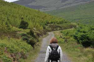 At the start of Knockballiniry looped walk